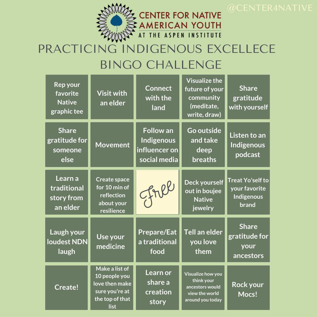 Native American Heritage Month Bingo Challenge