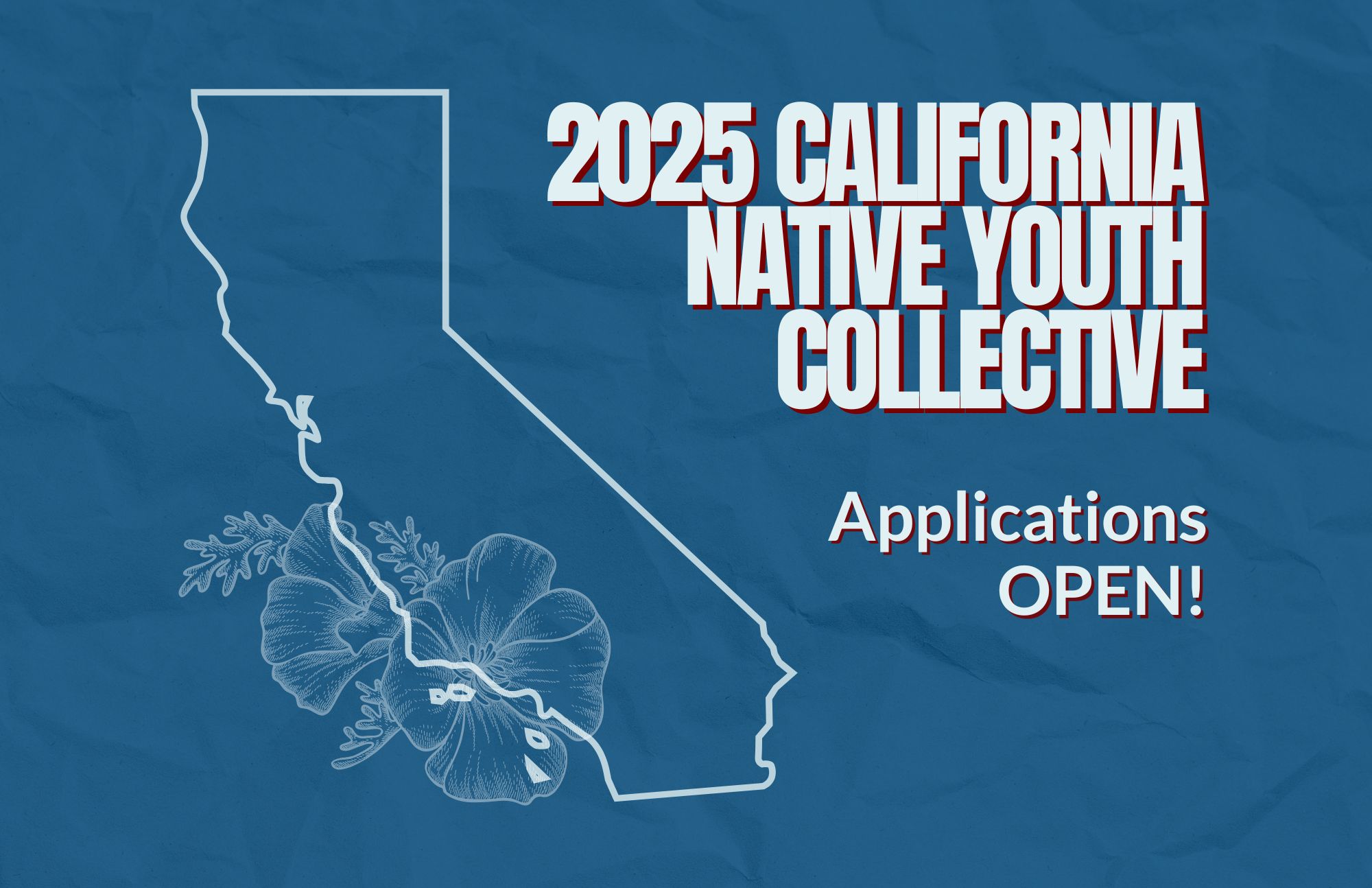 Call for Applications: 2025 CA Native Youth Collective